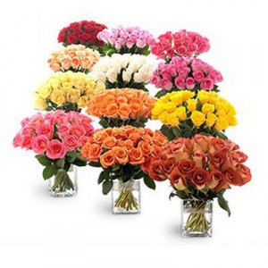 12 Vases Having 24 Roses Each Of Different Colors