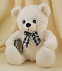 A Cute Medium Size Teddy Bear ( Please Note That The Color And The Design May Vary )