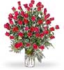 50 Exclusive Red Roses in a Glass Vase