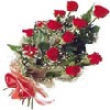 12 Exclusive Red Dutch Roses Bunch